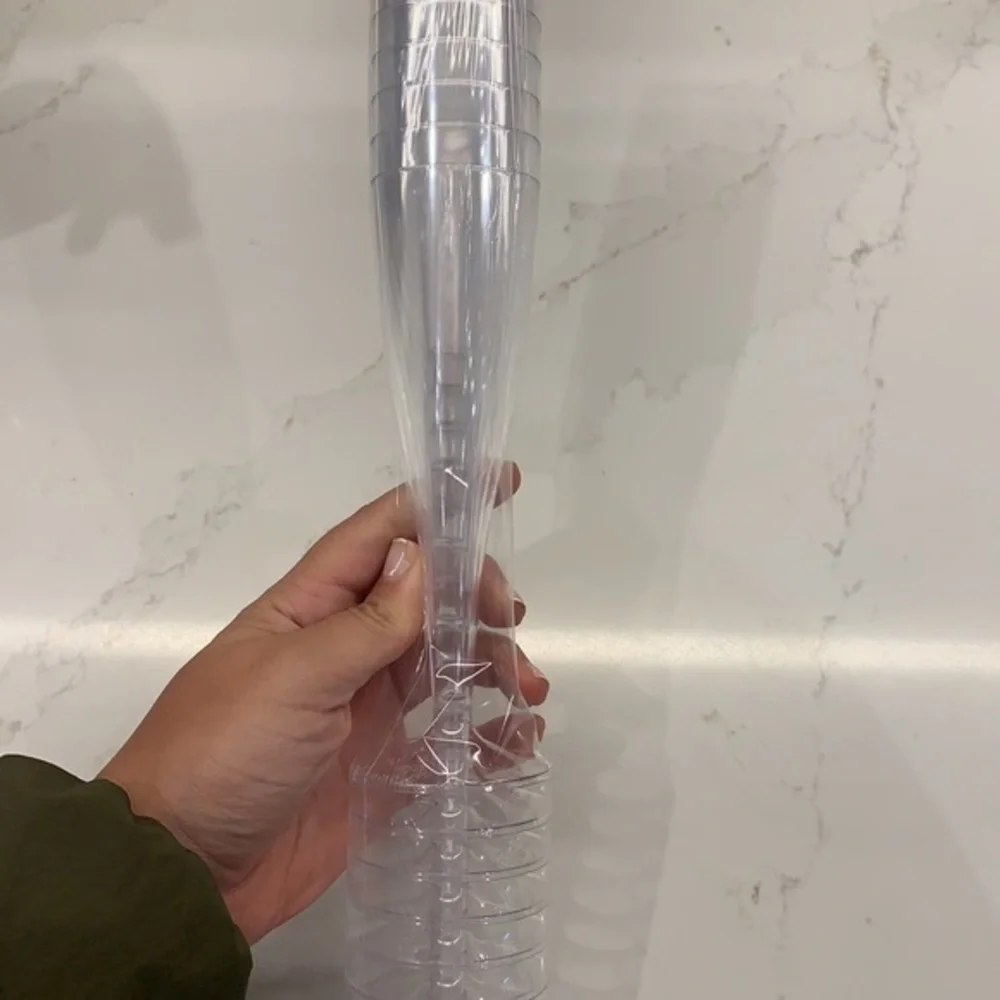 Plastic Disposable Clear Champagne Flute Glasses Set (10 Count)